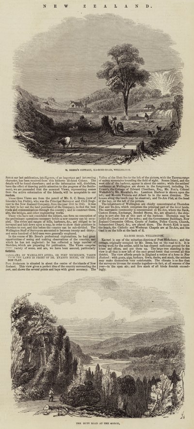 Új-Zéland (metszet) alkotó: English School