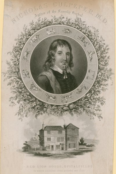 Nicholas Culpepper, MD alkotó: English School