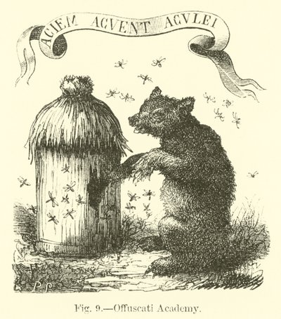 Felhős Akadémia alkotó: English School