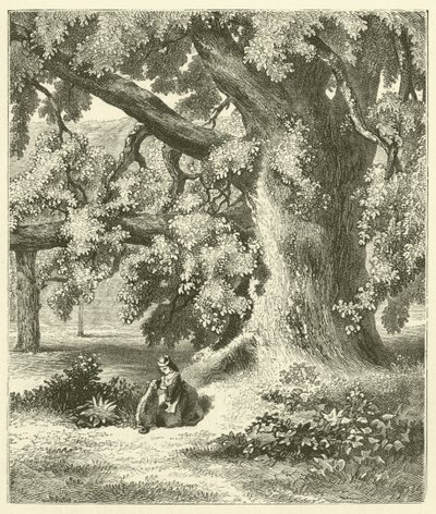 Öreg diófa Mentmore-ban (metszet) alkotó: English School