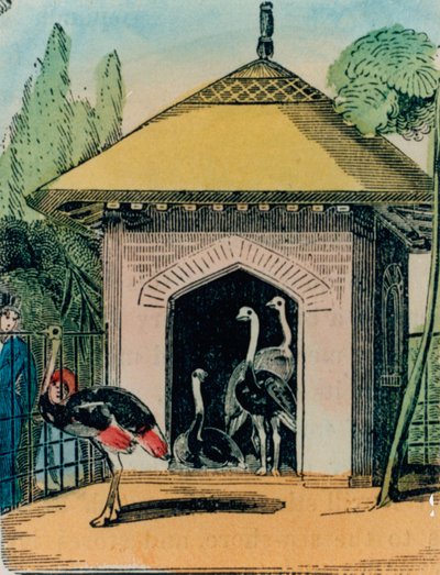 Strucc és emu ház a londoni állatkertben. 1840-es évek alkotó: English School