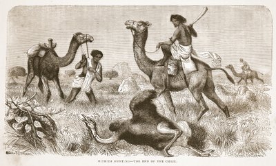 Struccvadászat – az üldözés vége, illusztráció a David Livingstone élete és felfedezései képi kiadásából, J. Ewing Richie, pub. A. Fullarton & Co., 1876 alkotó: English School