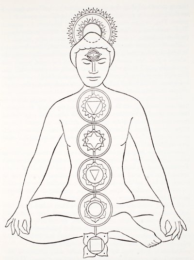 Padmasana vagy lótusz pozíció alkotó: English School