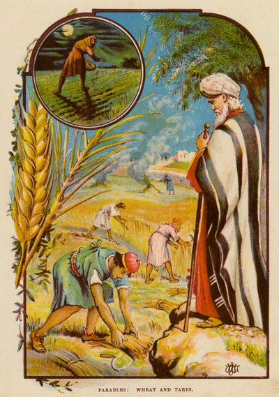 Példabeszédek, búza és konkoly (színes litho) alkotó: English School