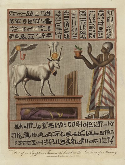 Egy egyiptomi kézirat egy része, amelyet egy múmia csapásában találtak alkotó: English School