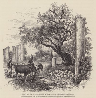 A Szamáriát egykor körülvevő oszlopsor egy része (metszet) alkotó: English School