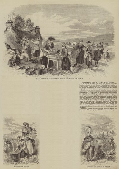 Penclawdd és szívkagyló-gyűjtői (metszet) alkotó: English School