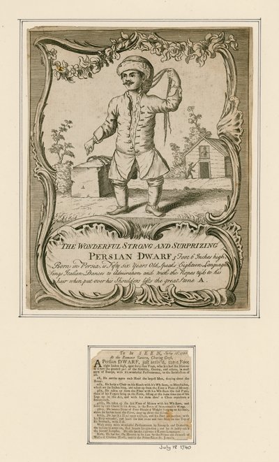 perzsa törpe alkotó: English School