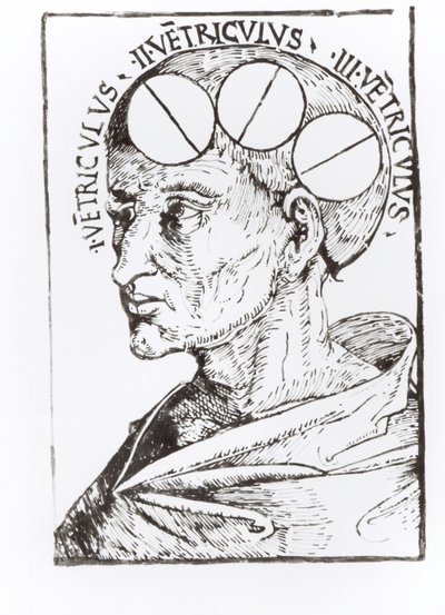 Frenológia (toll és tinta papíron) alkotó: English School