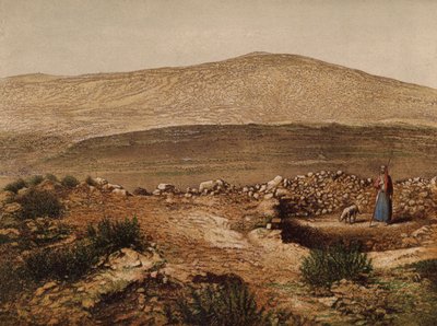 A Bibliában említett helyek: (chromolitho) alkotó: English School