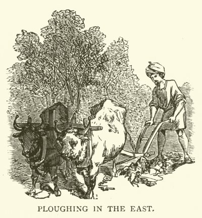 Szántás keleten (metszet) alkotó: English School