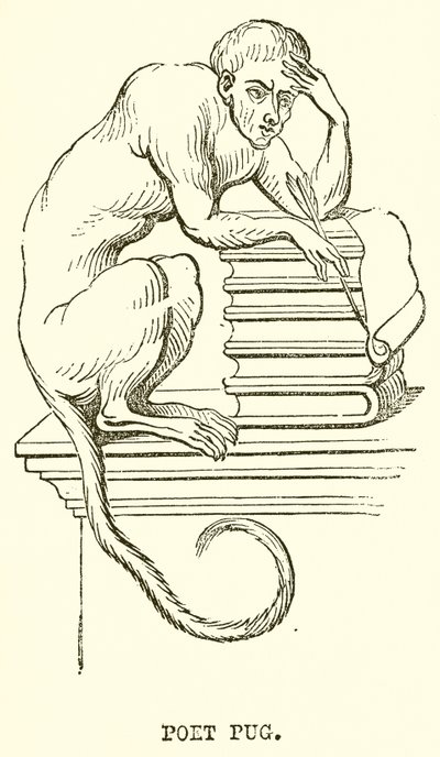 Mopsz költő alkotó: English School