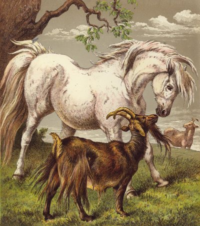 Póni és kecske (színes litó) alkotó: English School