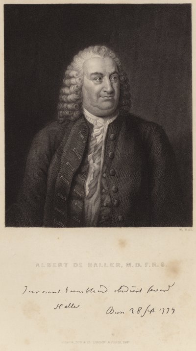 Albert de Haller portréja alkotó: English School