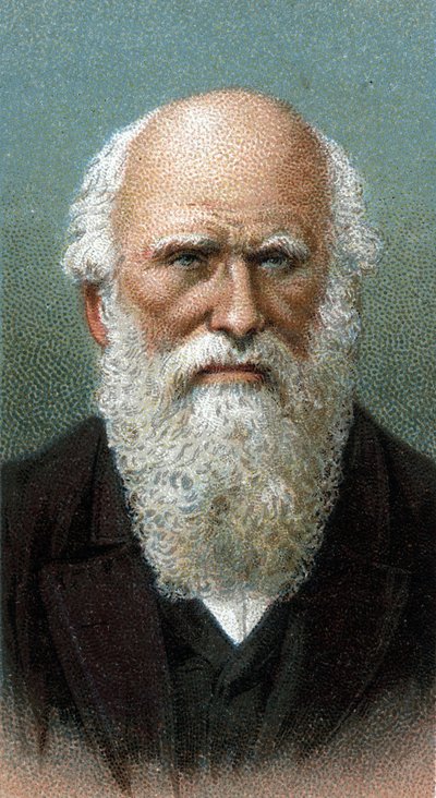 Charles Robert Darwin (1809-1882) portréja – „A férfiak vezetői” sorozatból” – Kromolitográfia – Angol iskola, XX. század – alkotó: English School