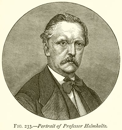 Helmholtz professzor portréja alkotó: English School
