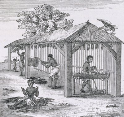 Dohánykészítés, Samuel Hazard "Santo Domingo múltja és jelene" című művéből. 1873 alkotó: English School