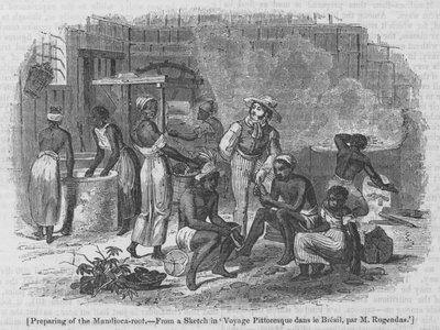 A Mandioca-gyökér előkészítése alkotó: English School