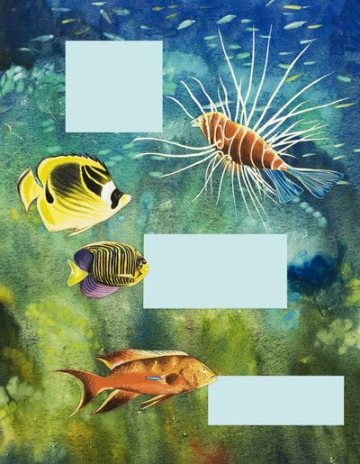 Hübsch aber gefährlich von English School