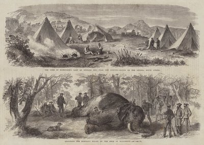 Arthur herceg Dél-Afrikában (metszet) alkotó: English School