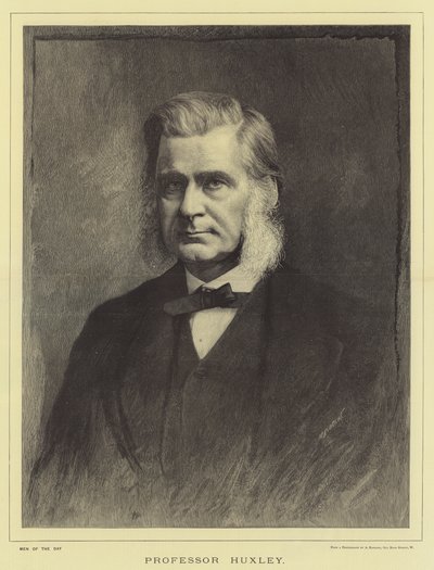 Huxley professzor (metszet) alkotó: English School