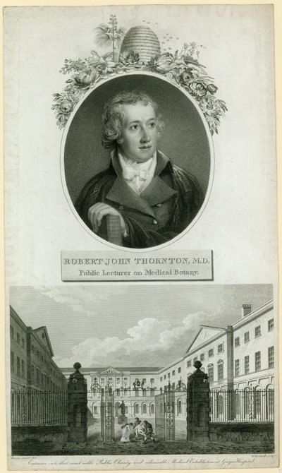 John Thornton professzor, az orvosi botanika nyilvános előadója alkotó: English School