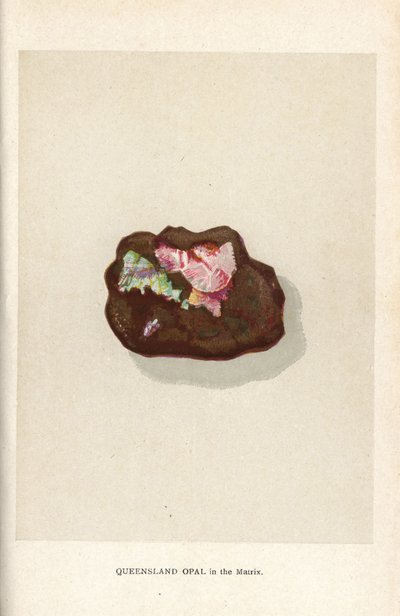 Queensland opál a mátrixban, Edwin Streeter "Precious Stones and Gems" című művéből, London, George Bell & Sons alkotó: English School