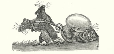 Patkányok tojást hordanak haza (metszet) alkotó: English School