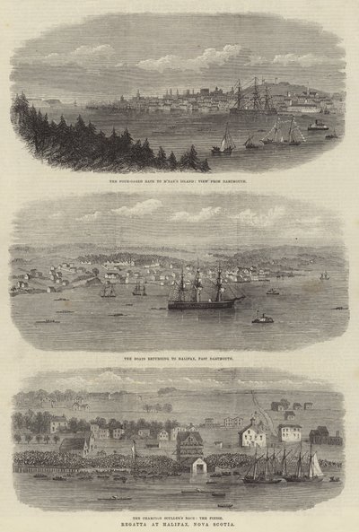 Regatta, Halifax, Nova Scotia (metszet) alkotó: English School