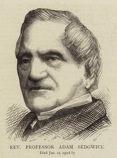 Adam Sedgwick tiszteletes professzor (metszet) alkotó: English School