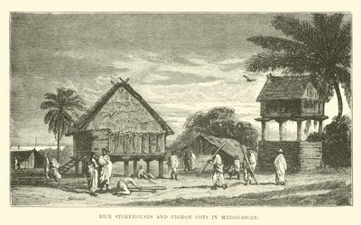 Rizsraktárak és galambágyak Madagaszkáron alkotó: English School