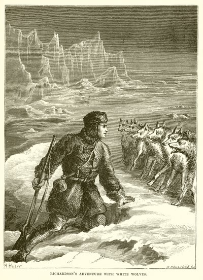 Richardson kalandja fehér farkasokkal alkotó: English School