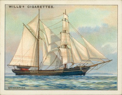 Hajók felszerelései: Brigantine (színes litográfia) alkotó: English School