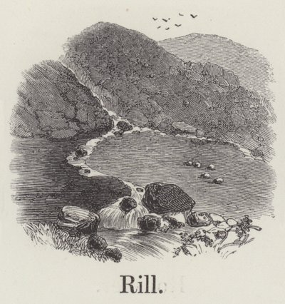 Rill (metszet) alkotó: English School
