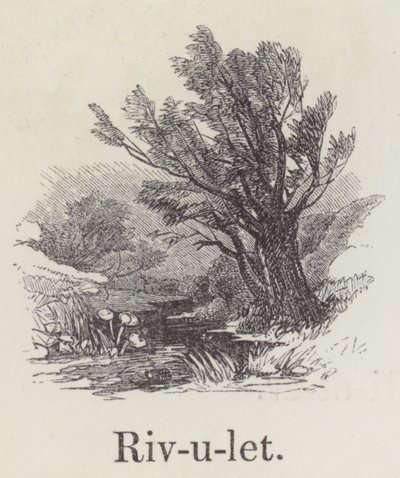 patak (metszet) alkotó: English School