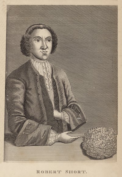 Robert Short alkotó: English School
