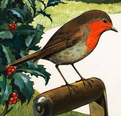 Robin Redbreast (gouache, papír) alkotó: English School
