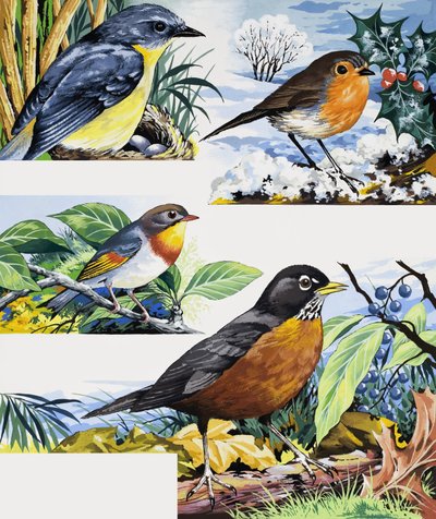 Robins alkotó: English School