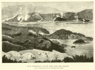 Rotomahana, vagy a Warm Lake, Új-Zéland alkotó: English School