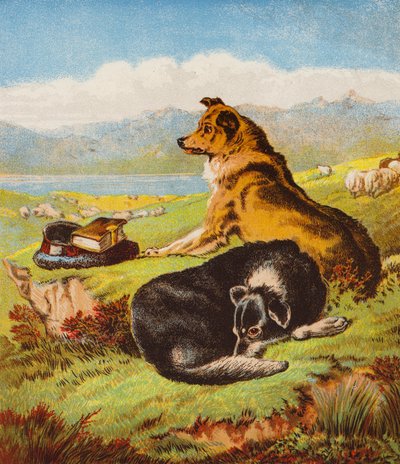 Rover és Hector (színes litográfia) alkotó: English School