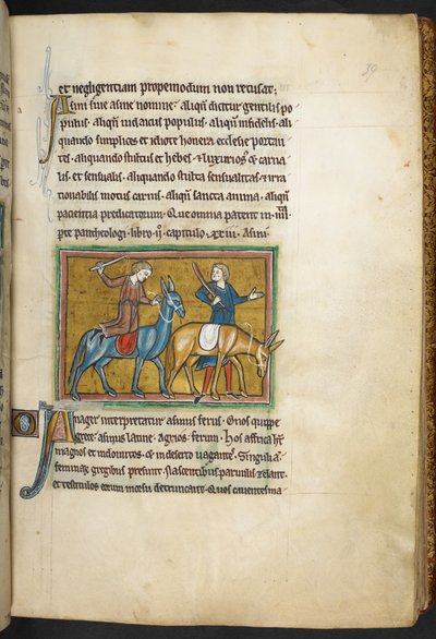 Királyi 12 F.XIII, f.39   Két férfi két szamár férfival. , Bestiaryból (ff. 3-141), Lapidary (ff. 141v-149)  , 13. század 2. negyede (vellum) alkotó: English School