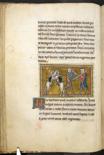 Királyi 12 F.XIII, f.42v Két lovag harcol gyalog karddal, míg lovaik hátulsó lábakon küzdenek egymással. , Bestiaryból (ff. 3-141), Lapidary (ff. 141v-149)  , 13. század 2. negyede (vellum) alkotó: English School