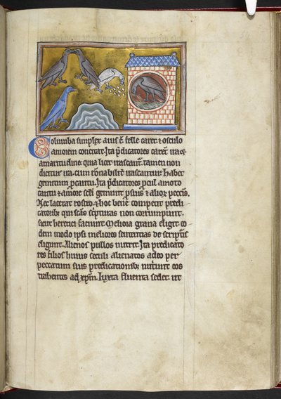 Royal MS 12 C XIX f.54r Doves, 