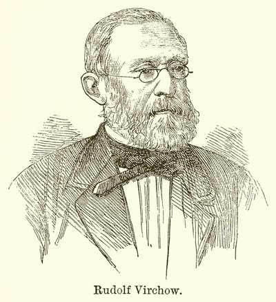 Rudolf Virchow alkotó: English School