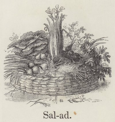 saláta (metszet) alkotó: English School