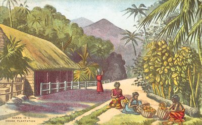 Jelenet egy kakaóültetvényben (színes litho) alkotó: English School