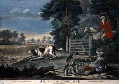 Vorstehhund und Rebhühner, veröffentlicht von Carington Bowles von English School