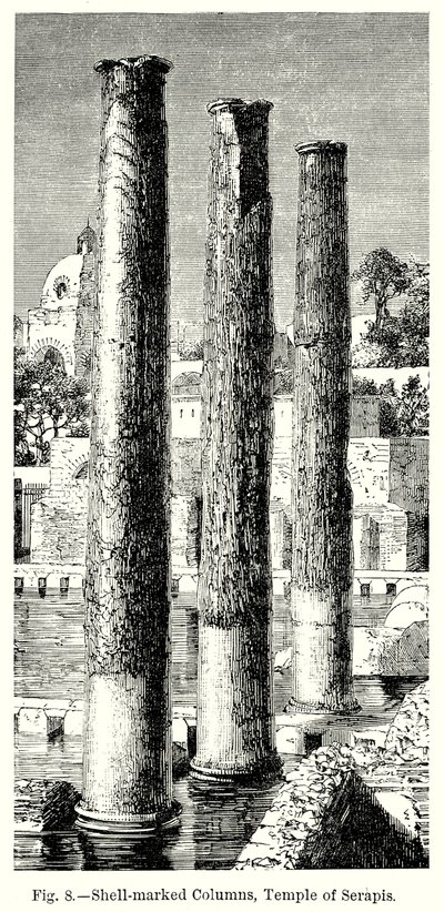 Kagylóval jelzett oszlopok, Serapis templom (metszet) alkotó: English School