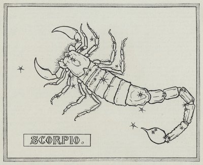 Az állatöv jelei: Skorpió (metszet) alkotó: English School
