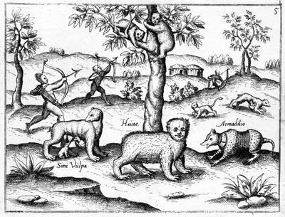 Simi Vulpa, Haute and Armadilio, illusztráció Sir Walter Raleigh „The Discovery of Guyana” című művéből, megjelent 1599 körül alkotó: English School
